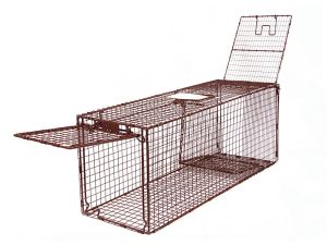 36D - Classic Deluxe Animal Trap