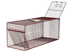 36RD - Bird Trap