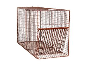 42RD - Bird Trap