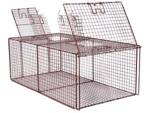 Feral Cat Recovery Cage (FCRC)