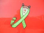 TNR Awareness Ribbon Magnet