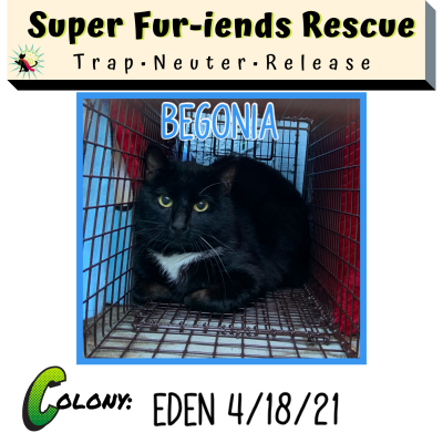 Super Furiends Rescue