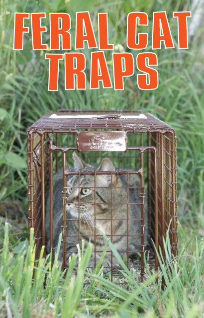 Feral Cat Traps
