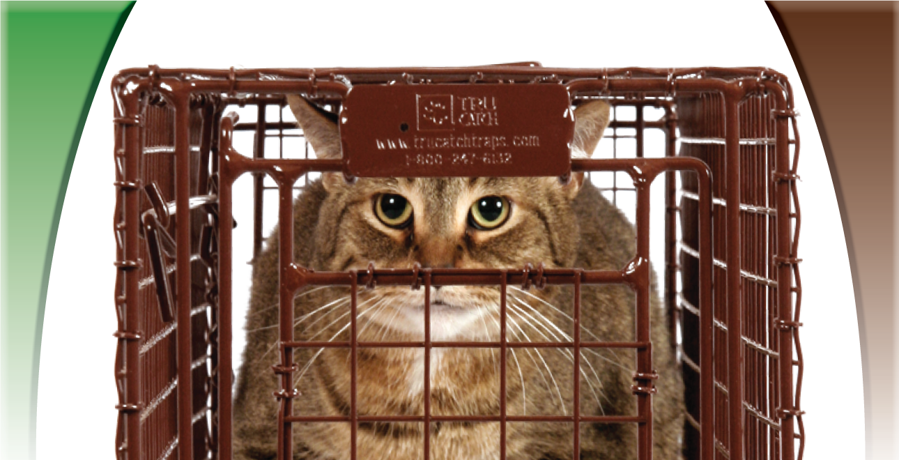 Tru-Catch™ 48F Folding Cage Trap, Wildlife Control Supplies